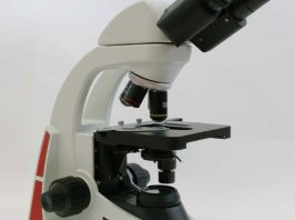 Hund Microscope Med Prax 3